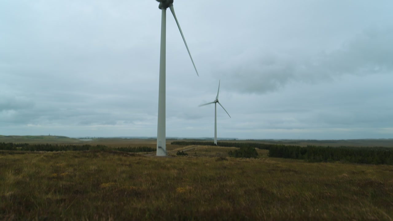 Shot tilts down from wind turbines to moorland heather on the Hebrides.