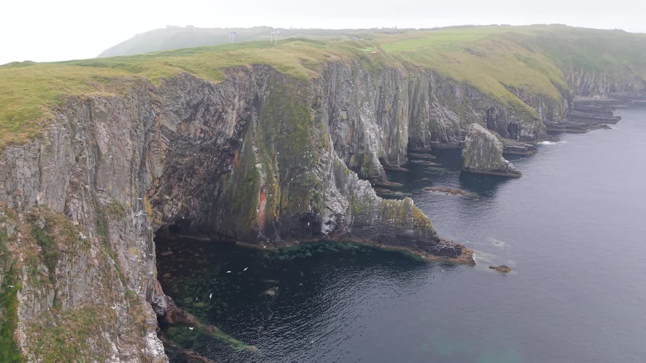 Dramatic Aerial View of a Flock of Birds at Rugged Sea Cliffs in County Cork, Ireland