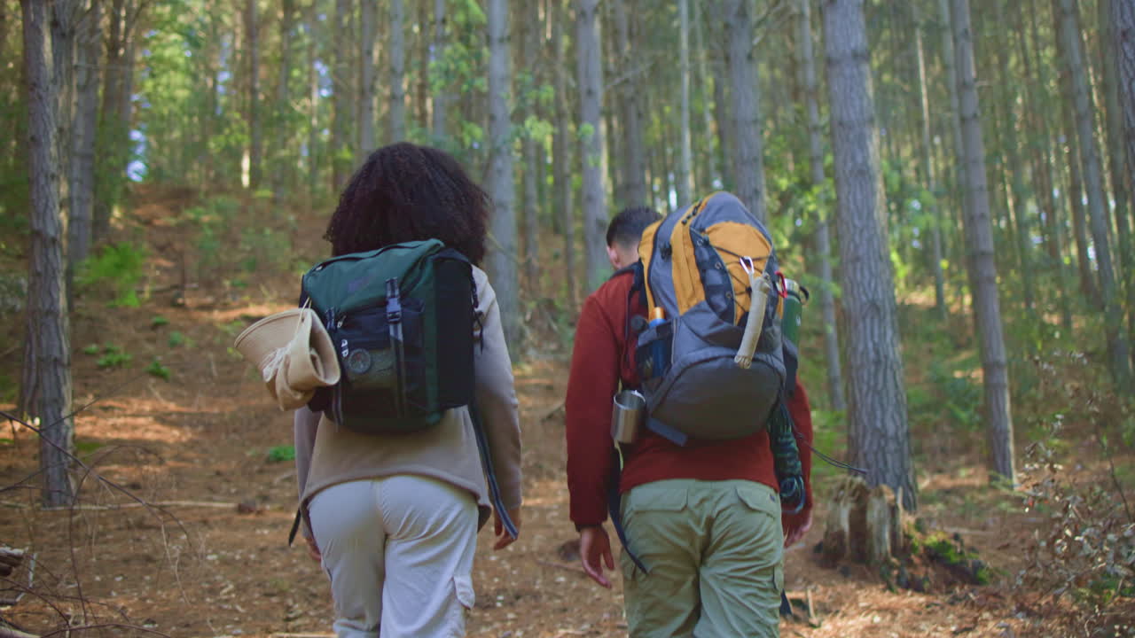excursionistas en el bosque