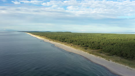 AERIAL:-Rotating-Shot-of-Forest-Cloudy-Sky-and-Rippling-Baltic-Sea-in-Nida
