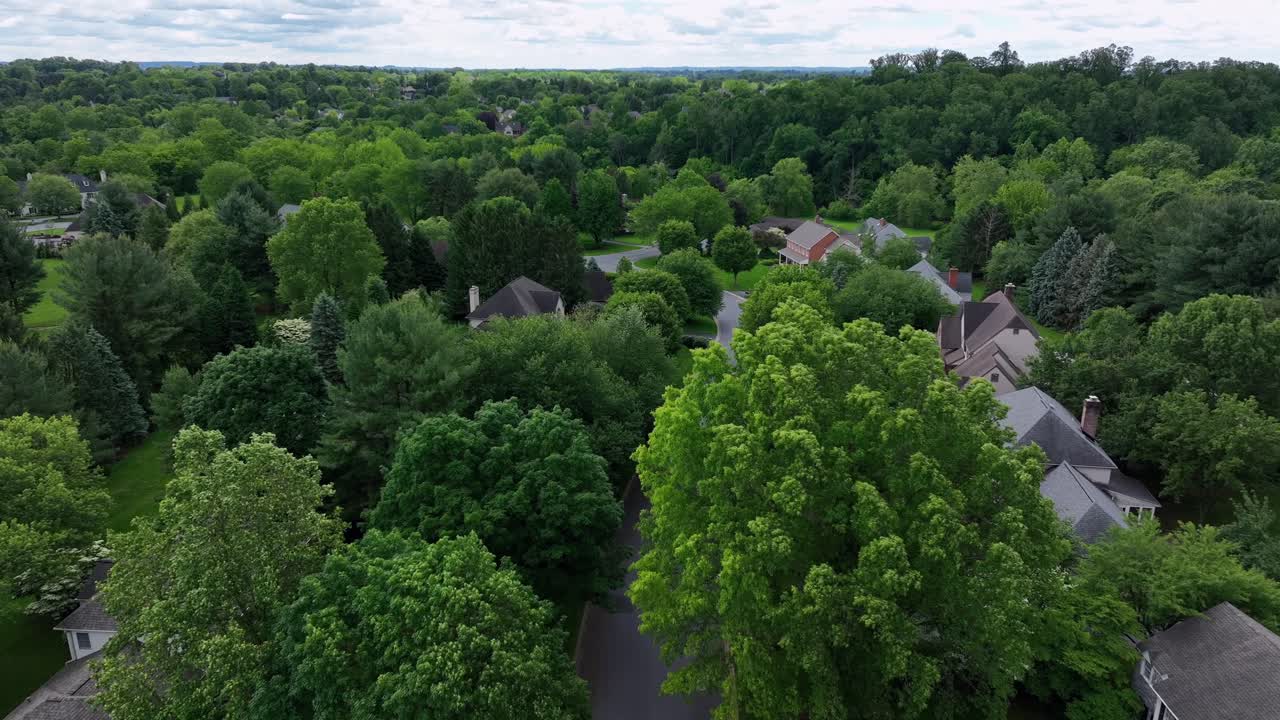 Car on street of quiet american neighborhood with tree-lined road. Aerial birds eye shot. Wide shot. Single family houses and homes in suburb of city. Pennsylvania, USA.