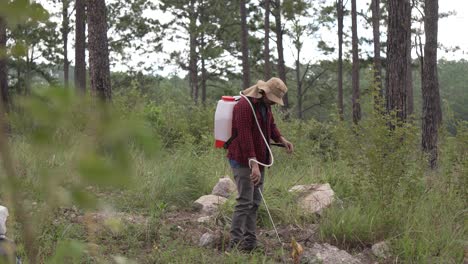 Plano-General-De-Un-Guardabosques-Trabajando-Con-Un-Rociador-De-Mochila-En-El-Bosque,-Viste-Una-Camisa-Roja-Y-Un-Sombrero