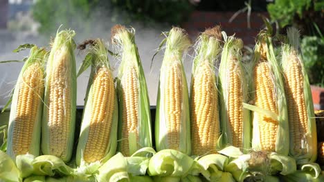 steamed corn on the cob at a street food stall