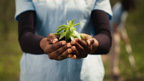 African-american-girl-presenting-small-sprout-with-organic-soil