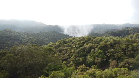 Geothermal-Valley-in-the-native-New-Zealand-Forest-4K-drone-shot