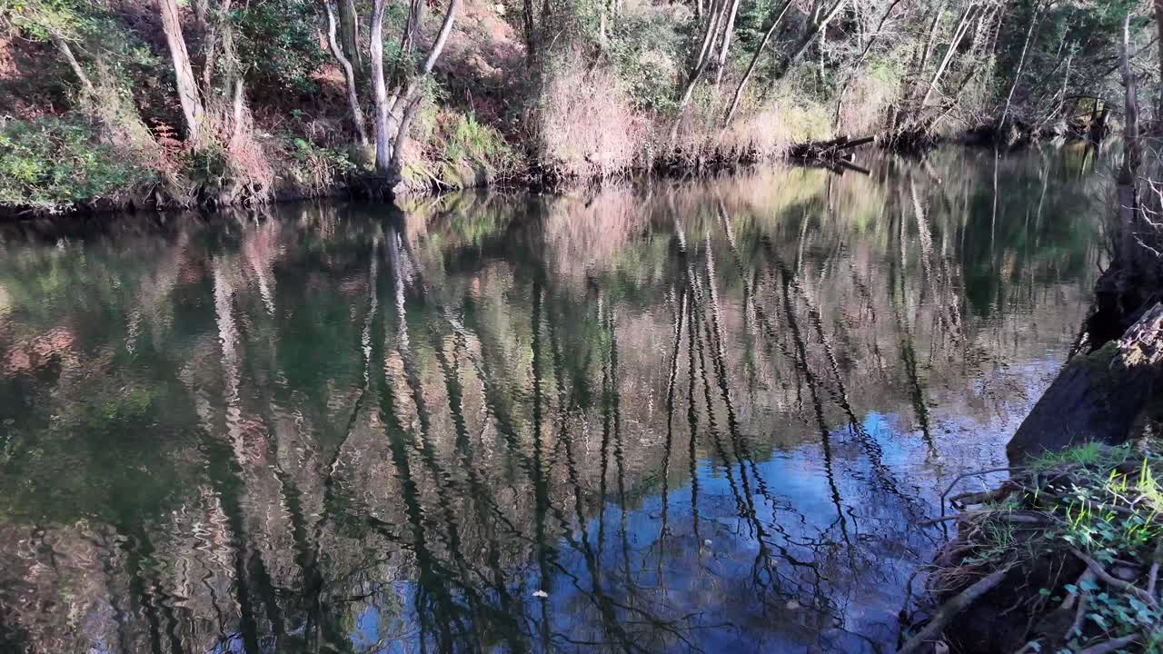 Gentle motion creating organic patterns across reflective water surface