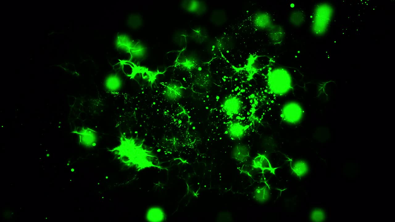 스 비디오의 전체 색 입자 폭발 칠면조 - 국가, 폭발, 입자, 원, 반이는