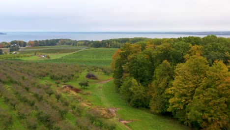 mission point michigan by drone 4k