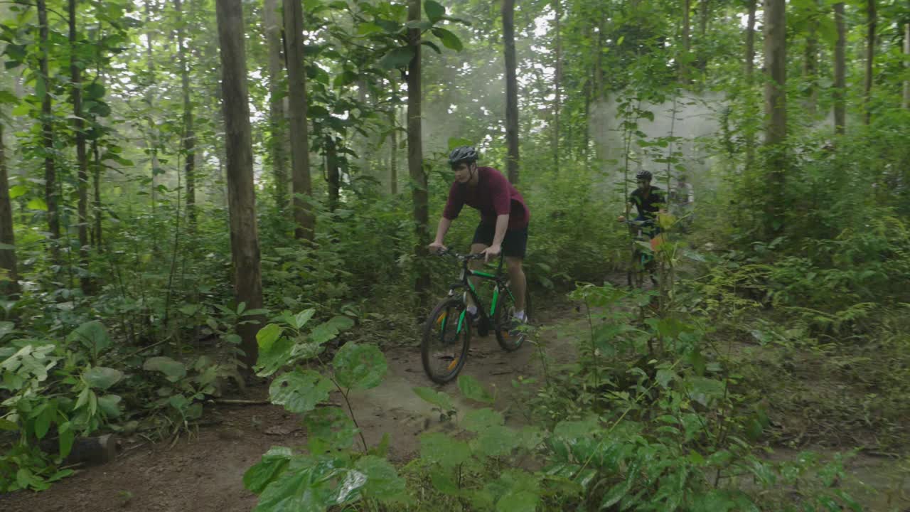 Mountain Biking in a Lush Forest