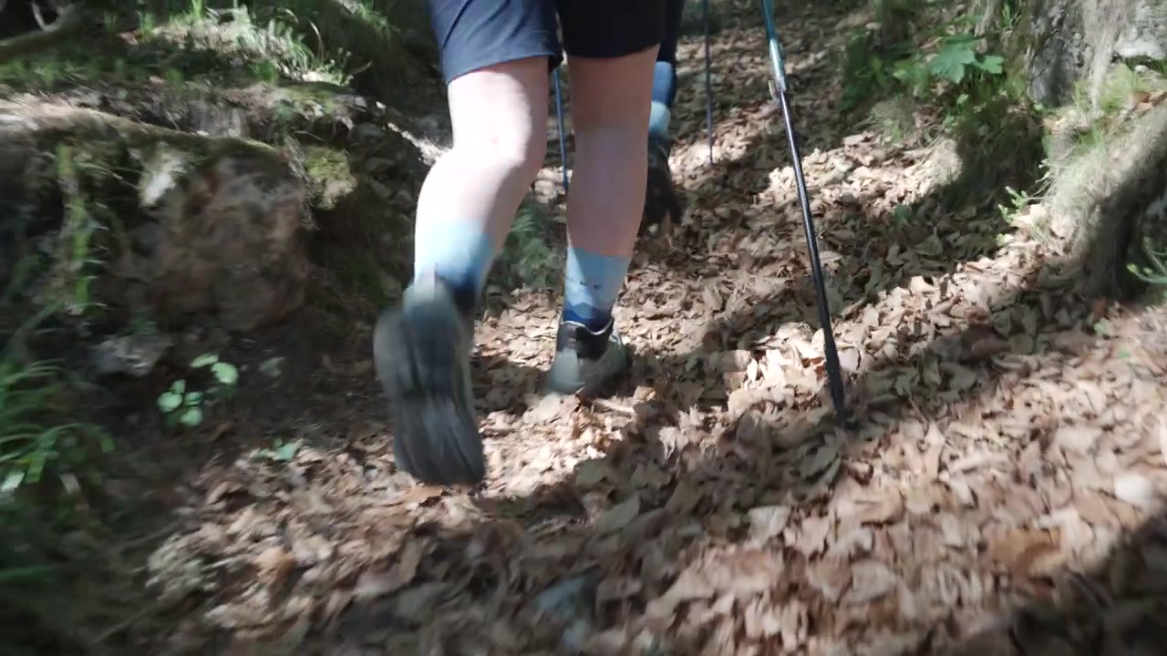 tracking shot following a hiker legs and trekking poles moving quickly along a leaf-covered forest trail in Italy. Dynamic outdoor adventure and camping exploration in nature