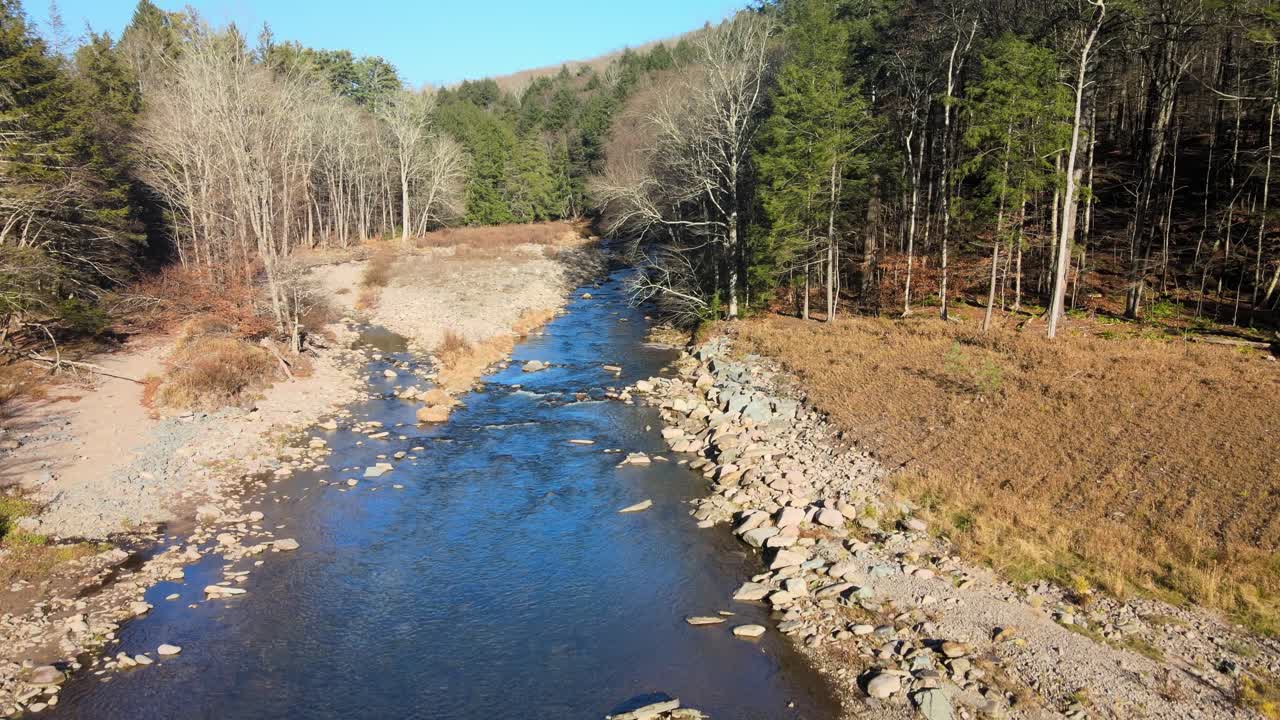 volando sobre un río en medio de un bosque, con árboles caducifolios desnudos y coníferas y montañas y colinas en el fondo