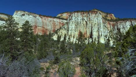 vertiginosos acantilados de roca blanca en el paisaje del cañón del parque nacional zion