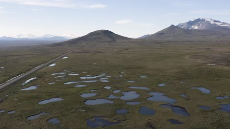 antena de marismas islandesas en terreno llano con montañas snaefell en segundo plano