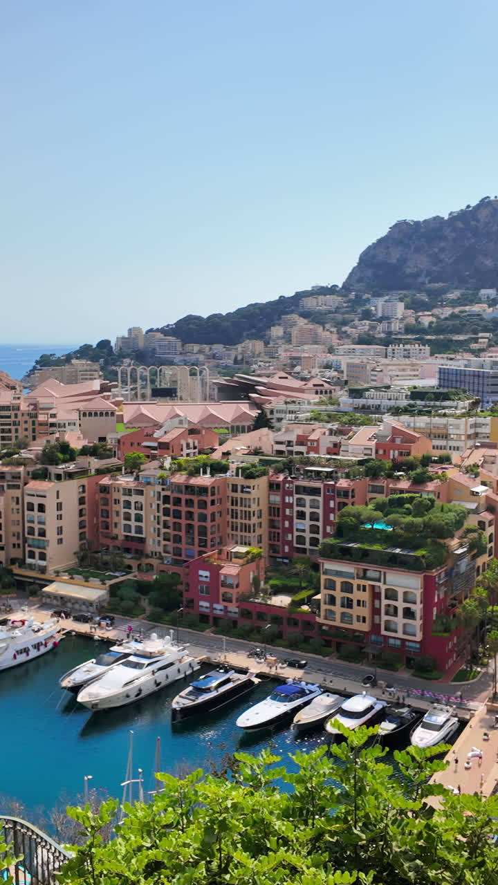 Vista aerea di barche bianche ormeggiate nel porto turistico di Monaco, con lo skyline sullo sfondo. Verticale