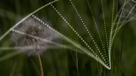 composición digital de la estructura del adn girando contra la flor del diente de león en el campo de hierba