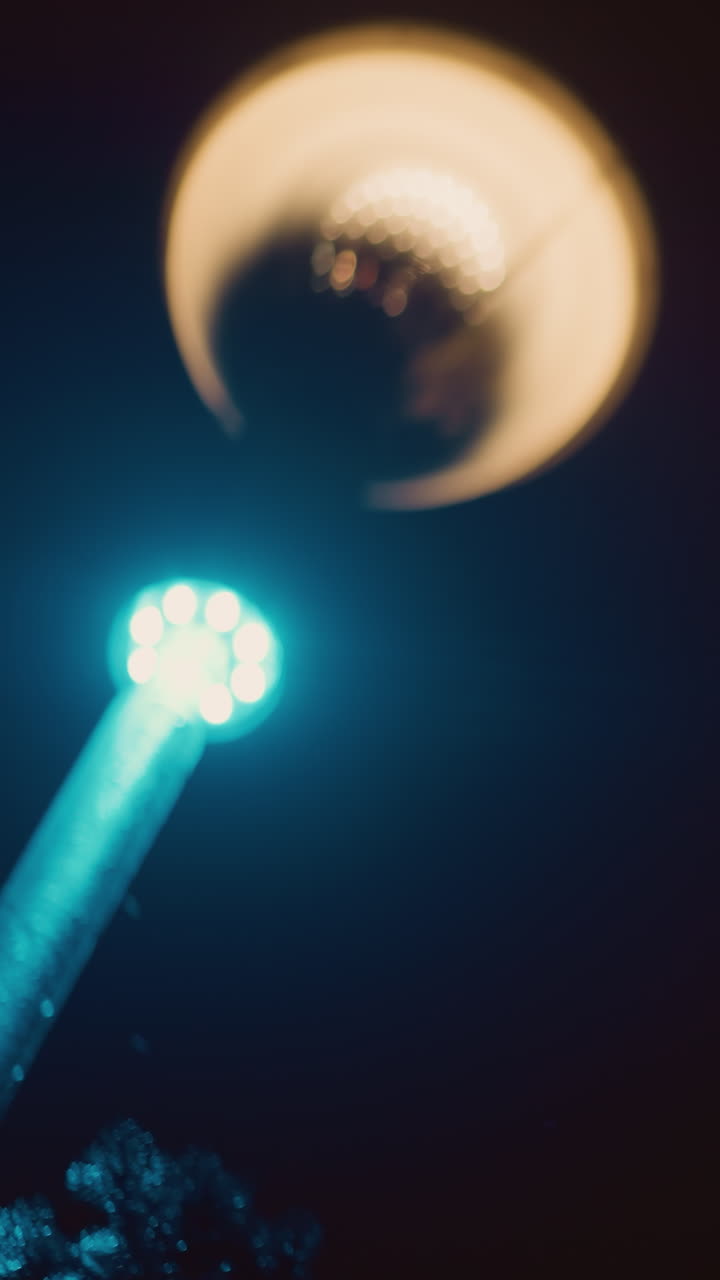 밤에 밝게 조명 된 거리 불빛의 클로즈업 뷰, 배경에 나무의 실루과 함께 파란 빛을 던집니다.