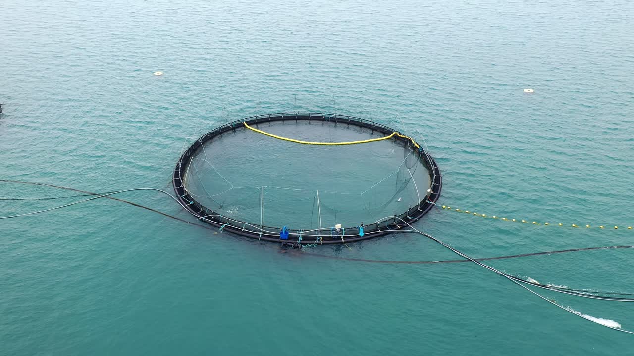 노르웨이에서 연어  ⁇ 시를 하는 공중 촬영