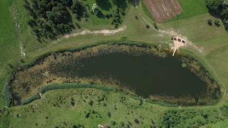 aerial: ascending drone shot of bizarre pond that looks like fish surounded with green grass and trees