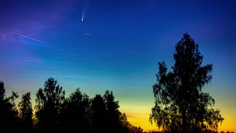 在 2020 年,在森林上空的星星中,彗星 neowise 在晚上的天空中移动.