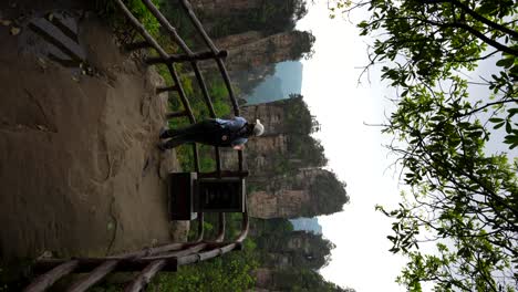 stunning view of zhangjiajie's unique rock formations