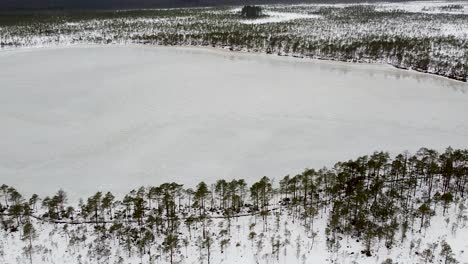 Aerial-drone-moving-along-a-bog-lake-during-winter