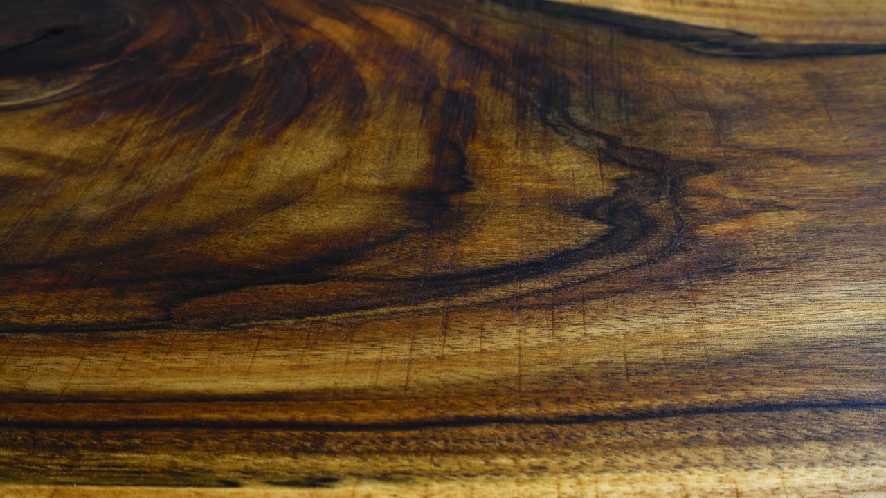Fondo y textura del árbol