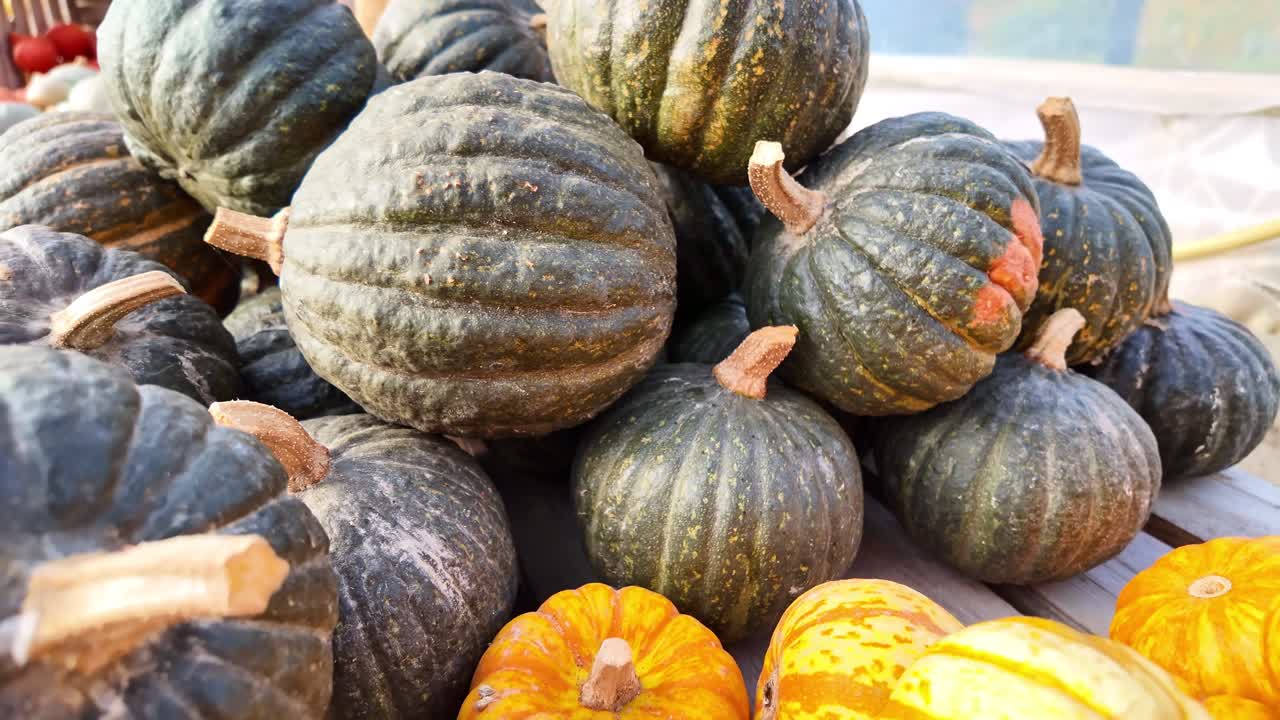 Camera pull out of a stacked pile of kabocha squash (Cucurbita maxima), also known as Shiatsu or Japanese pumpkins, characterized by their dark green, deeply ridged skin, firm stems and sweet taste