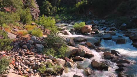 rapid river flowing through a stony forest landscape