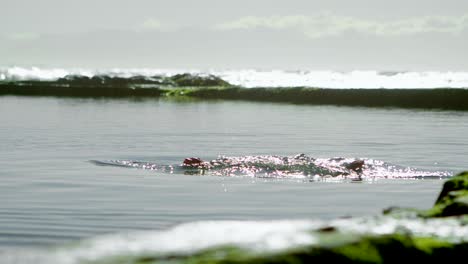 woman playing in water at beach 4k