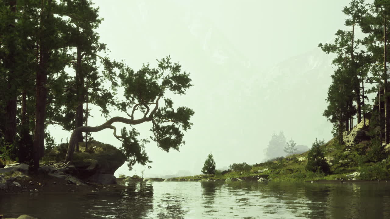 Paesaggio naturale con alberi e un fiume sereno in una giornata nebbiosa