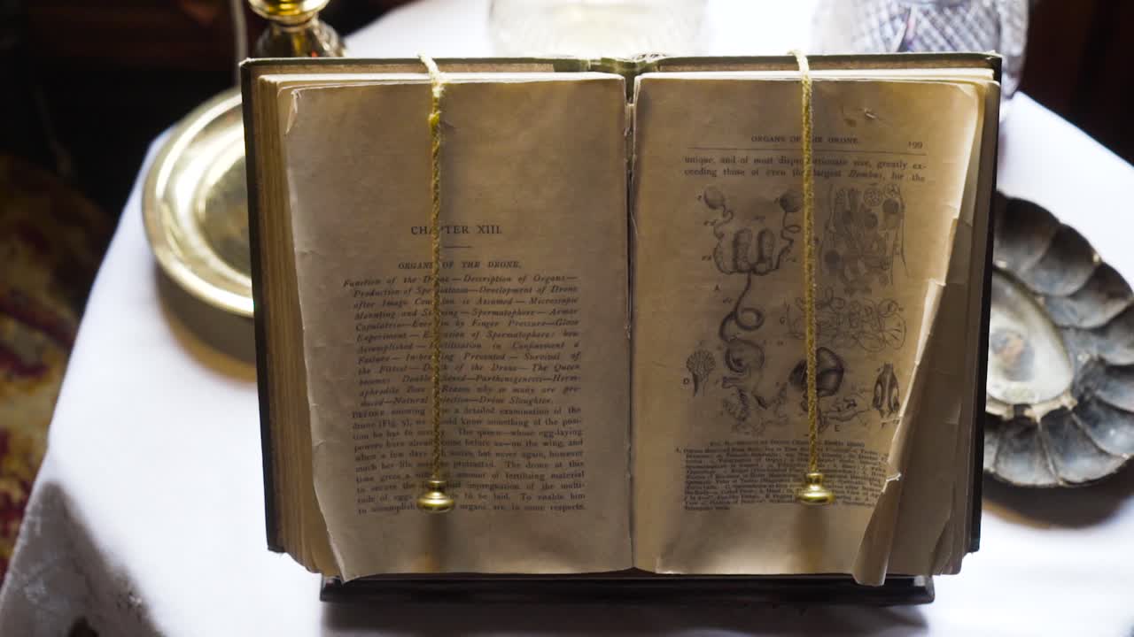 libro abierto antiguo con ilustraciones médicas antiguas