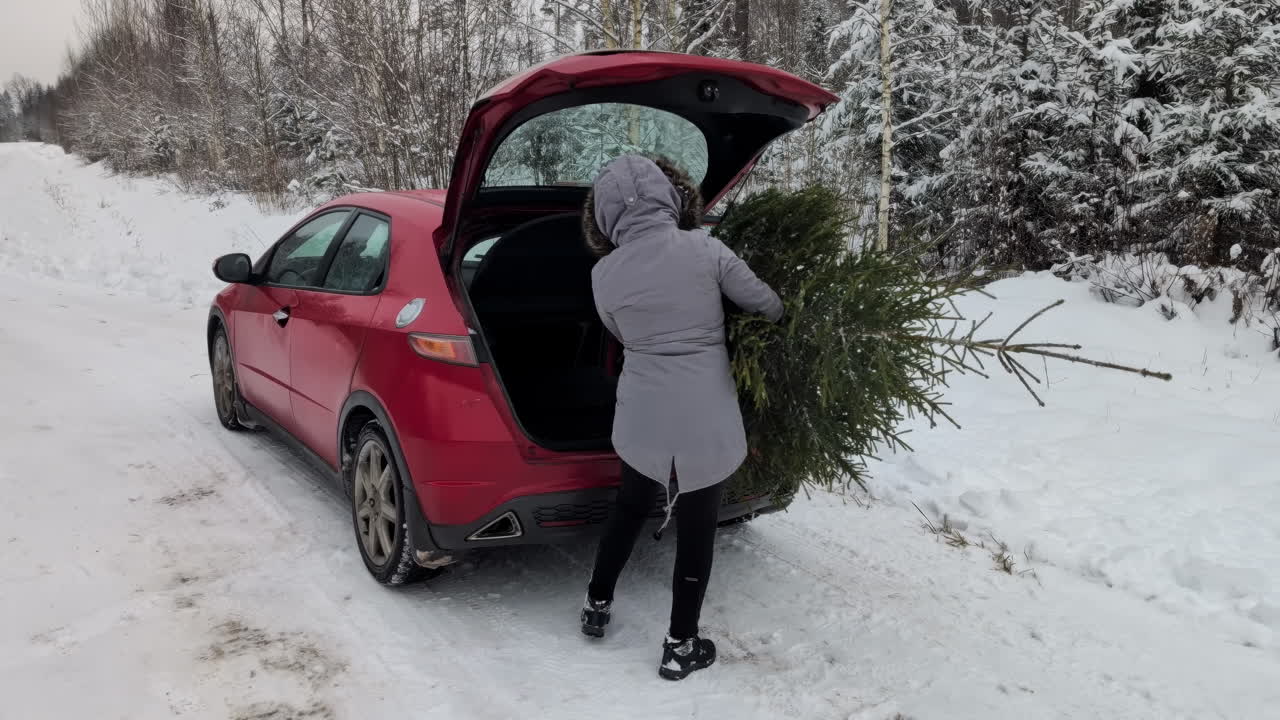 mujer llevando el árbol de navidad en el coche de la zona del bosque blanco