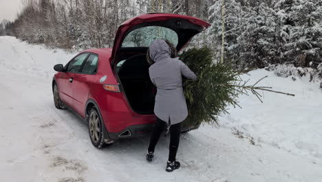 woman carrying christmas tree into car from white woodland area