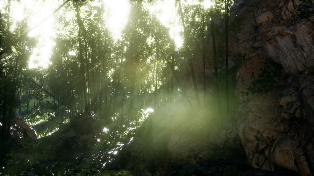 hojas verdes exuberantes de bambú cerca de la orilla de un estanque con piedras.