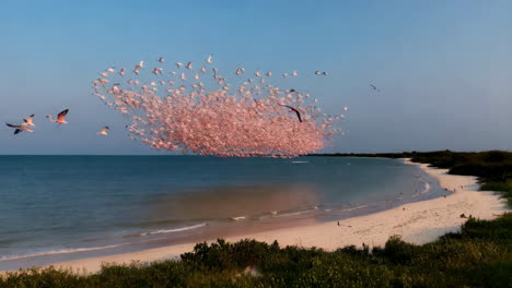 large flock of pink birds flying over a coastal beach