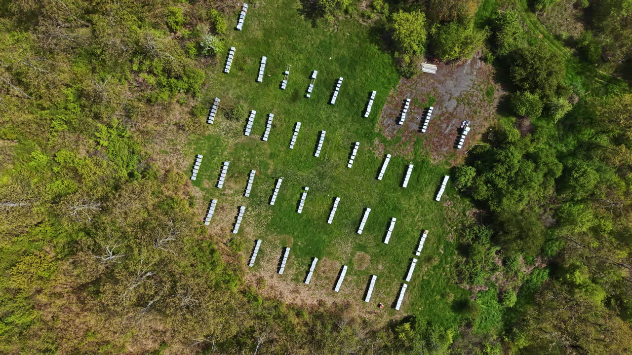 Apiário de abelhas localizado numa área verde com muitas colmeias e rodeado por árvores durante o dia, num cenário rural.