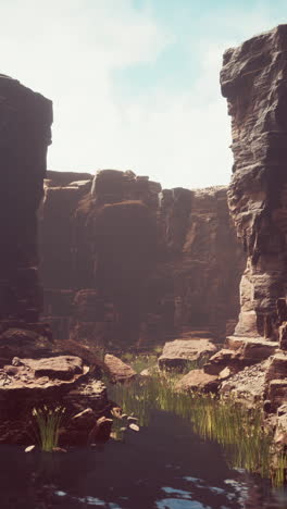 a view of a canyon with a stream running through it