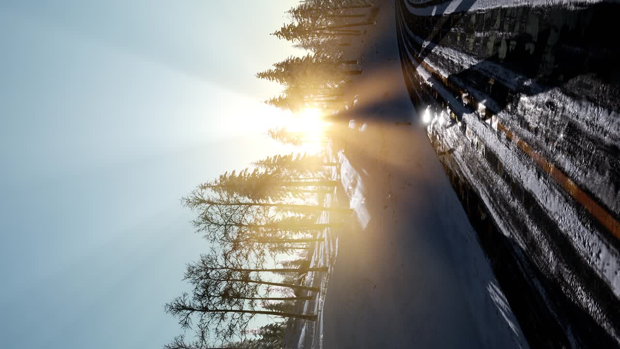 겨울 숲 위의 비행