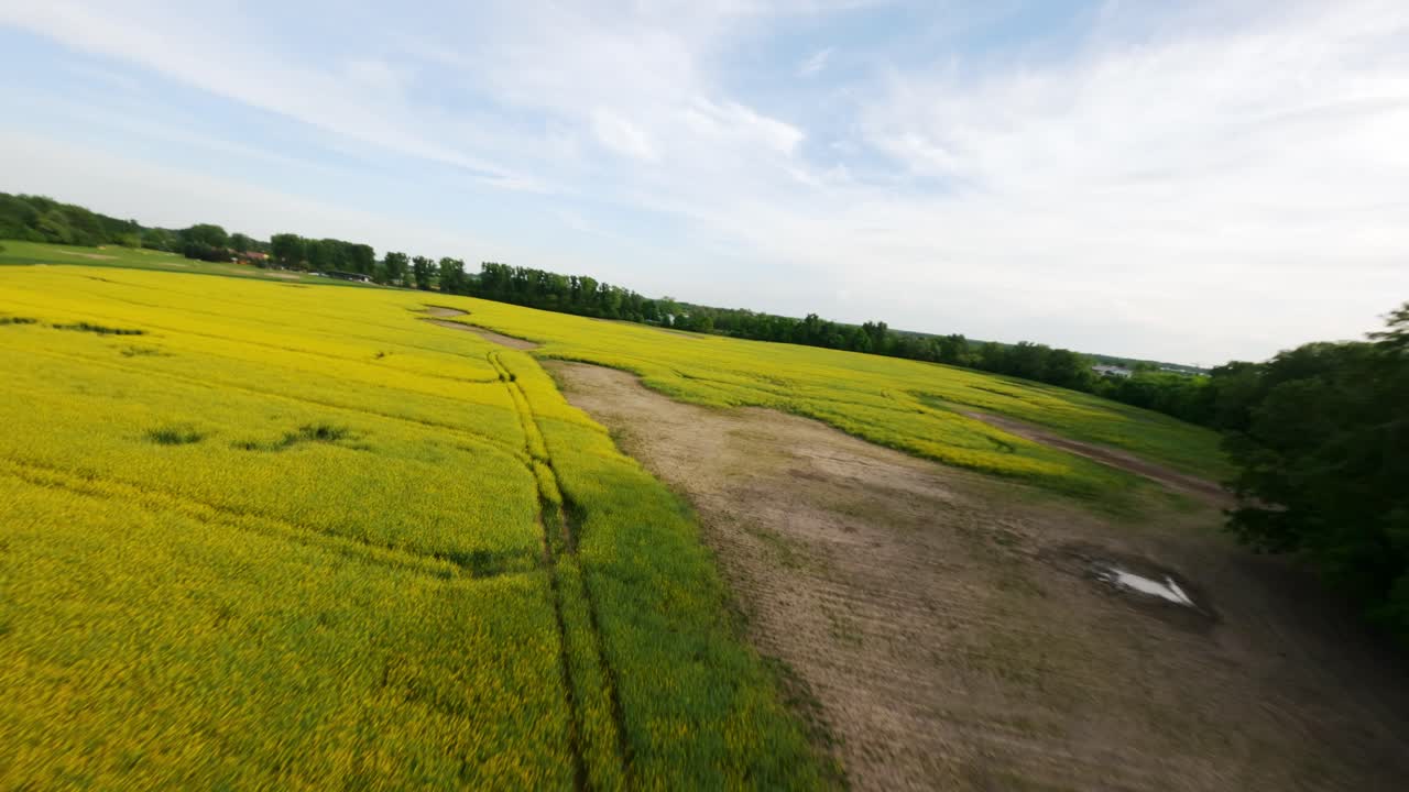 Panoramic sideways aerial movement along the rapeseed fields in spring season, Poland