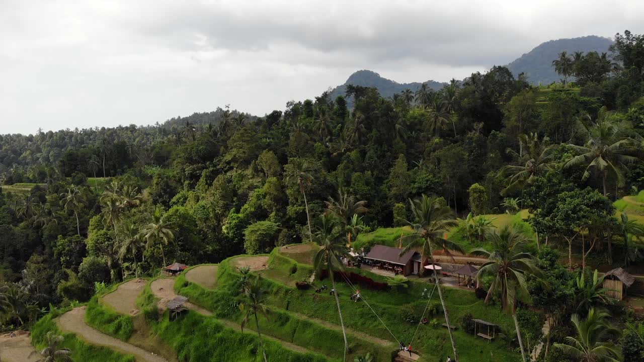 Stunning Aerial View of Lush Rice Terraces and Tropical Forest in Bali