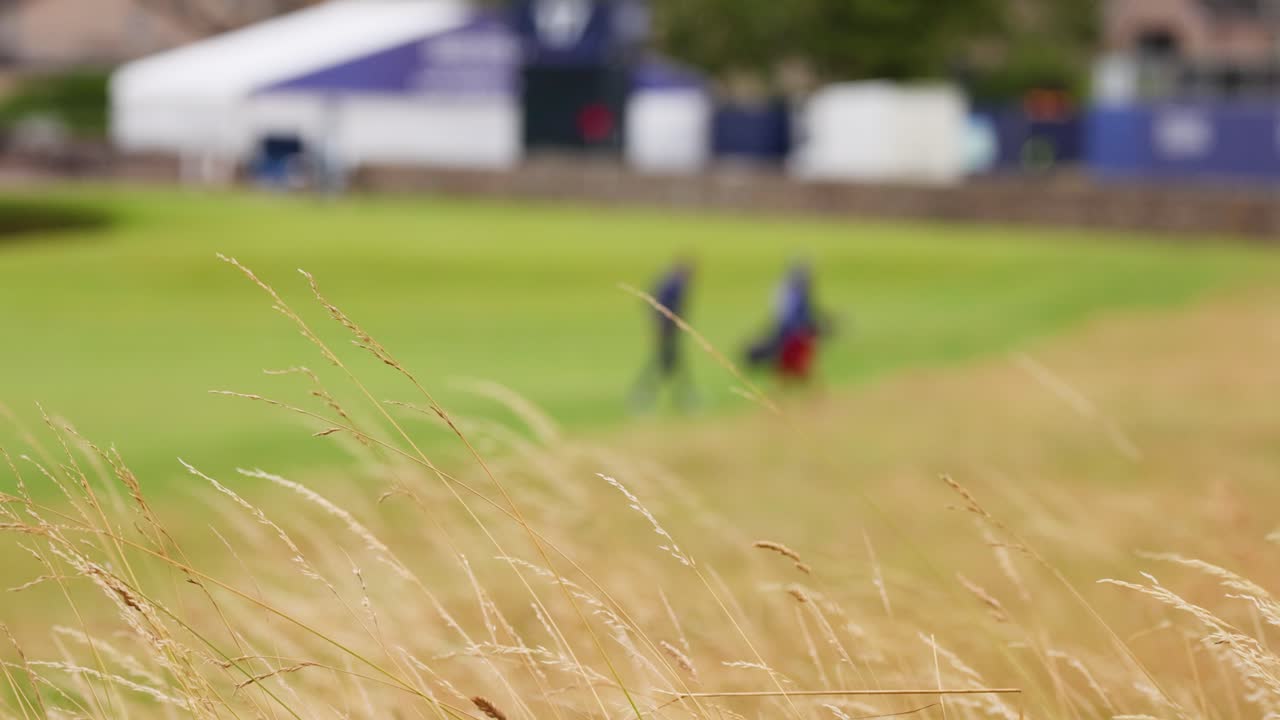 두 명의 골퍼가 초록색 필드를 가로질러 고 있습니다.