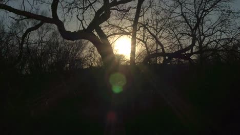 View-of-arid-scenery-with-sun-backlight-from-a-moving-train