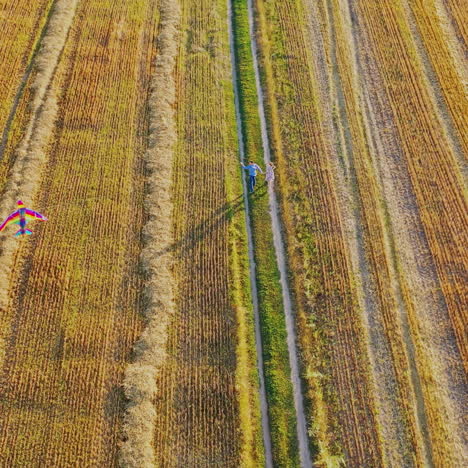 couple in love running with kite flying on wind. view from above on man and a woman holding hands and walking on the field in summer.