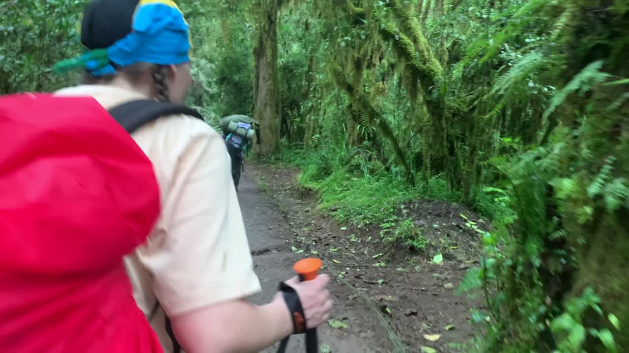 un turista con una mochila, un pañuelo y palos de senderismo camina por un camino en el bosque tropical