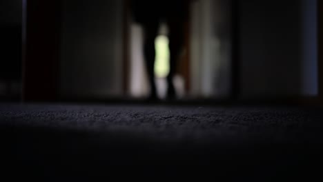 person out of focus walking along a dark hallway at home towards camera and into a bedroom