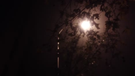 foggy night scene with street light