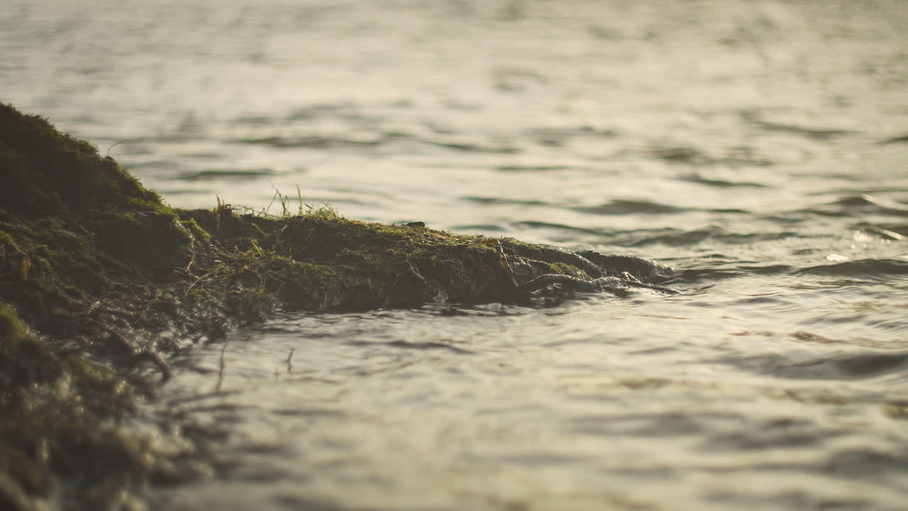 Close-up of calm river water gently flowing in soft natural light. Peaceful cinematic nature background for relaxation, mindfulness, environmental themes, wellness content, and organic motion visuals