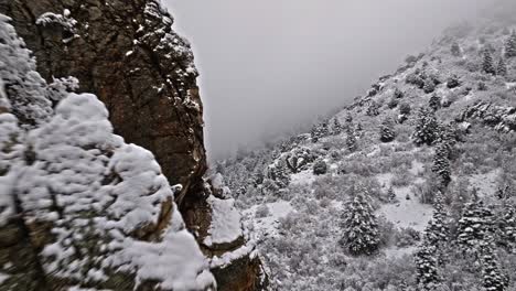 drone flies past sharp weathered rocky cliff covered in snow to reveal white and grey forest in canyon