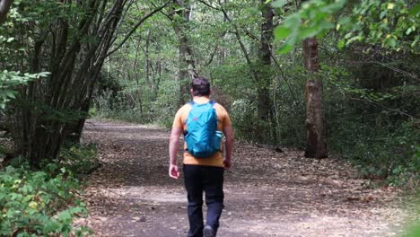 Enthüllen-Sie-Hinter-Den-Blättern-Eines-Mannes-Mit-Einem-Rucksack,-Der-Allein-Auf-Einer-Straße-Im-Wald-Spaziert