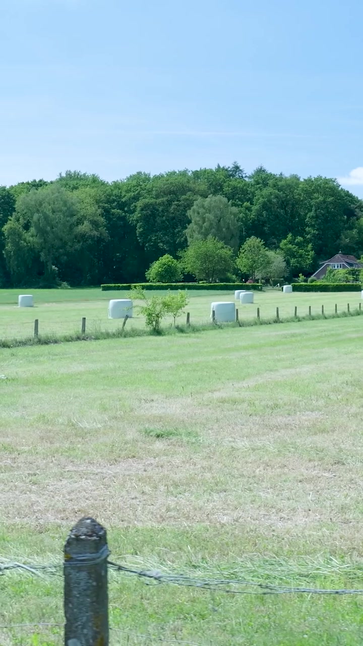 White Hay Bales in a Green Meadow on a Sunny Day
